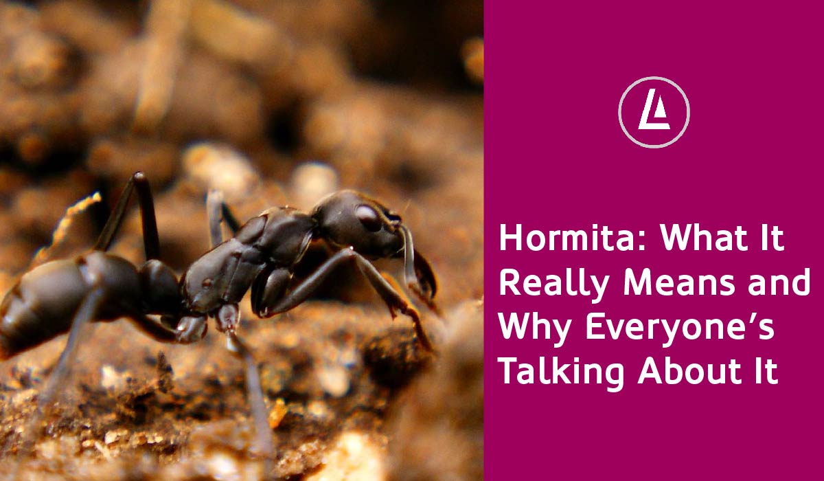 Hormita